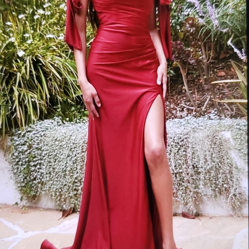 Elegant Burgundy Cinderella Divine Evening Gown
